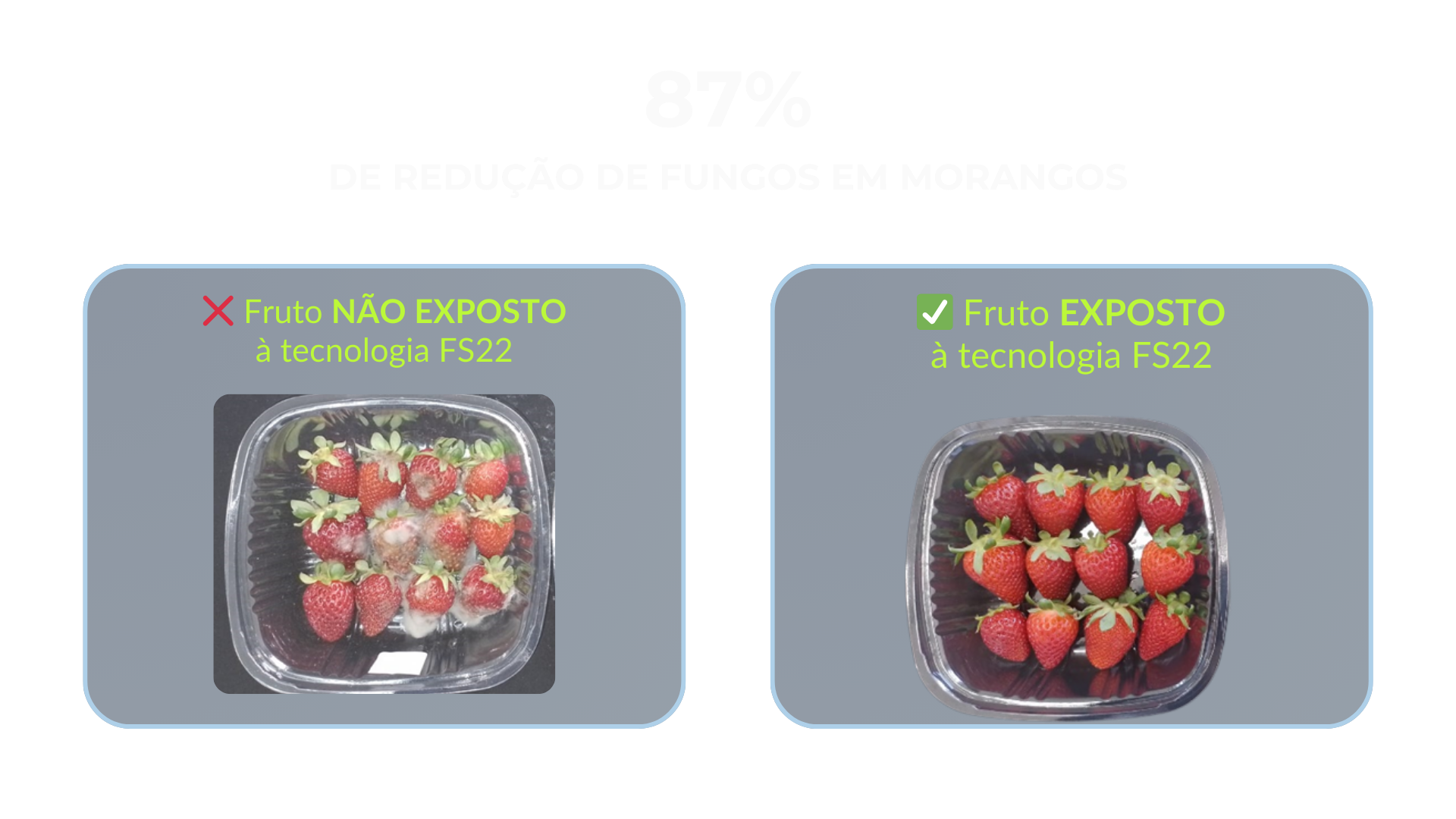 Alimentos