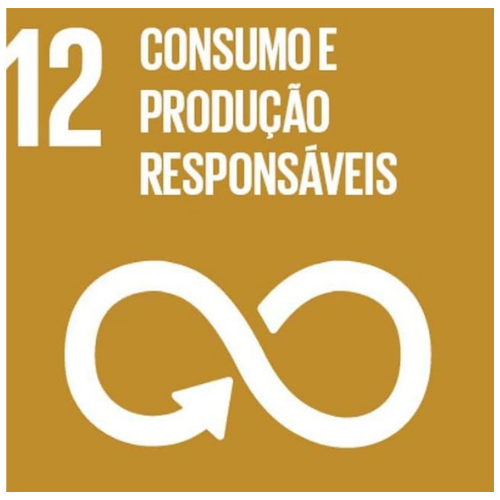 ODS 12