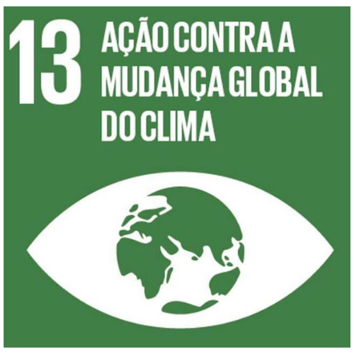 ODS 13