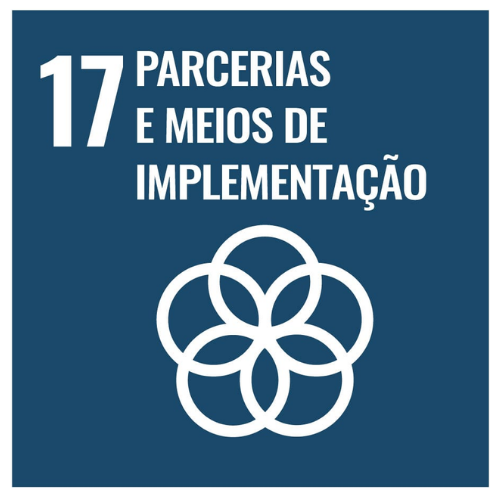 ODS 17